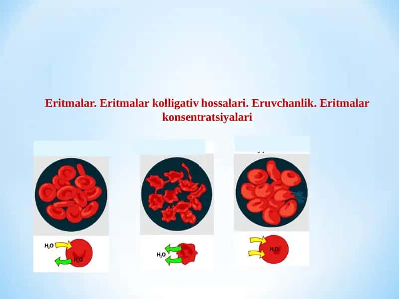 Eritmalar 1