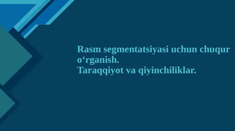 RasmSegmentatsiyasi 1