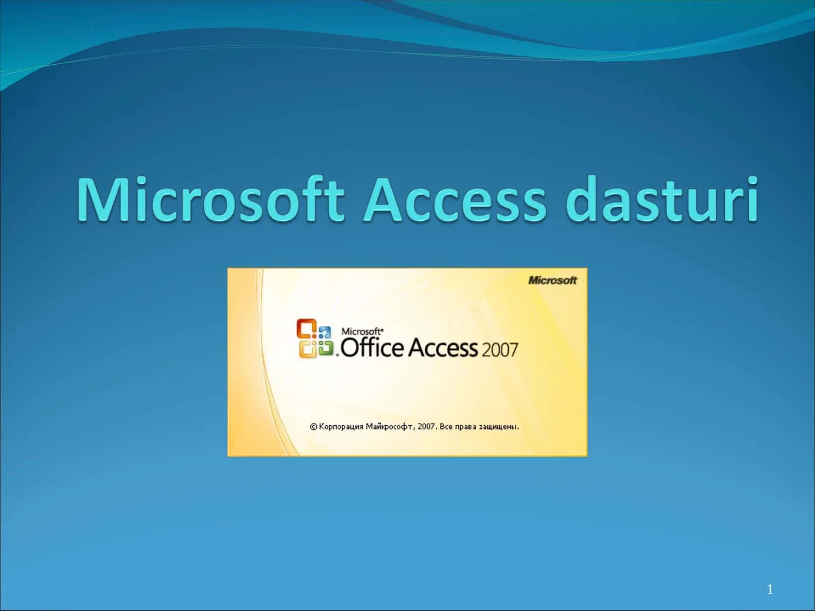 Microsoft Access 1