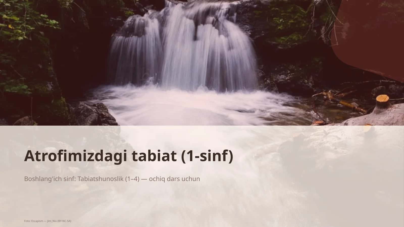 Atrofimizdagi tabiat (1-sinf) 1