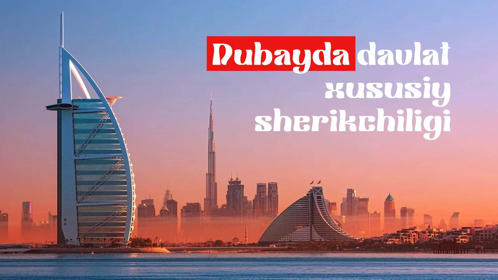 Dubayda davlat xususiy sherikchiligi 1