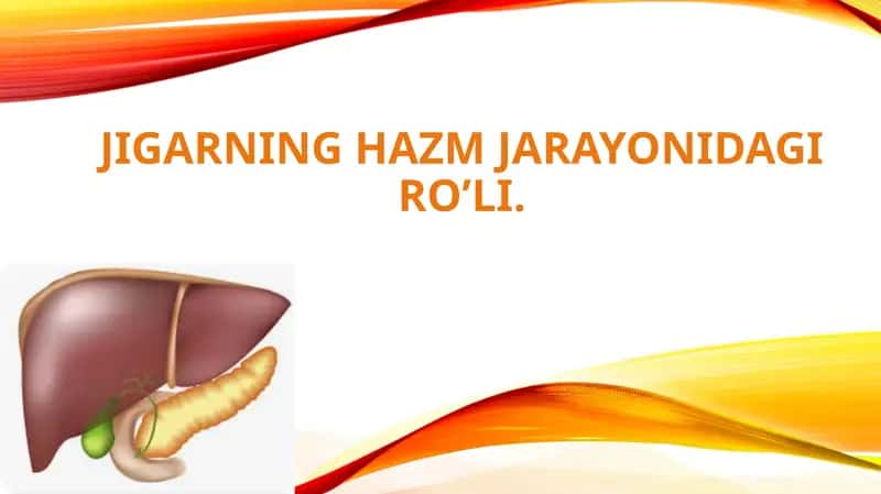 JIGARNING HAZM JARAYONIDAGI RO’LI. 1
