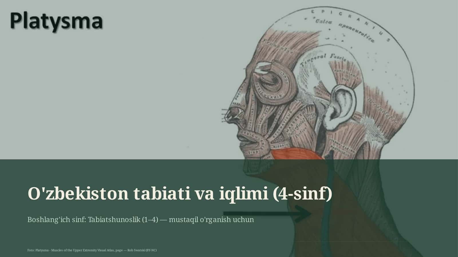 O'zbekiston tabiati va iqlimi (4-sinf) 1