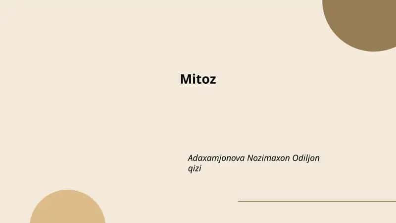 Mitoz 1