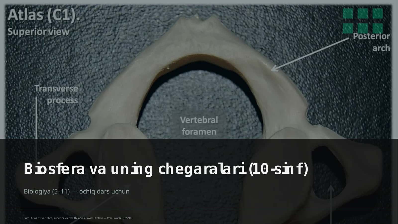 Biosfera va uning chegaralari (10-sinf) 1