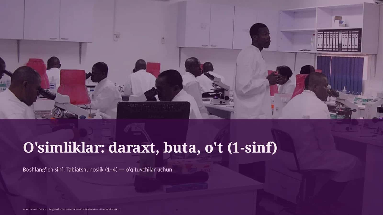 O'simliklar: daraxt, buta, o't (1-sinf) 1