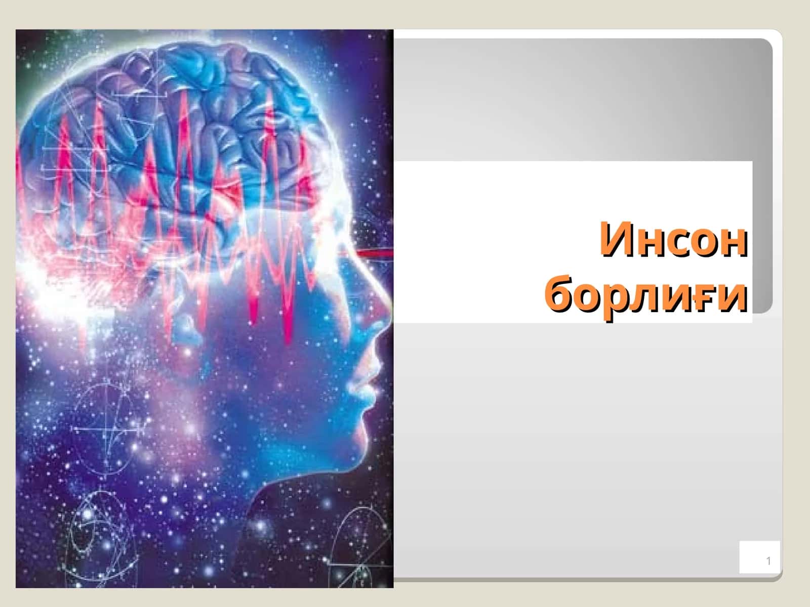 Инсон борлиғи 1