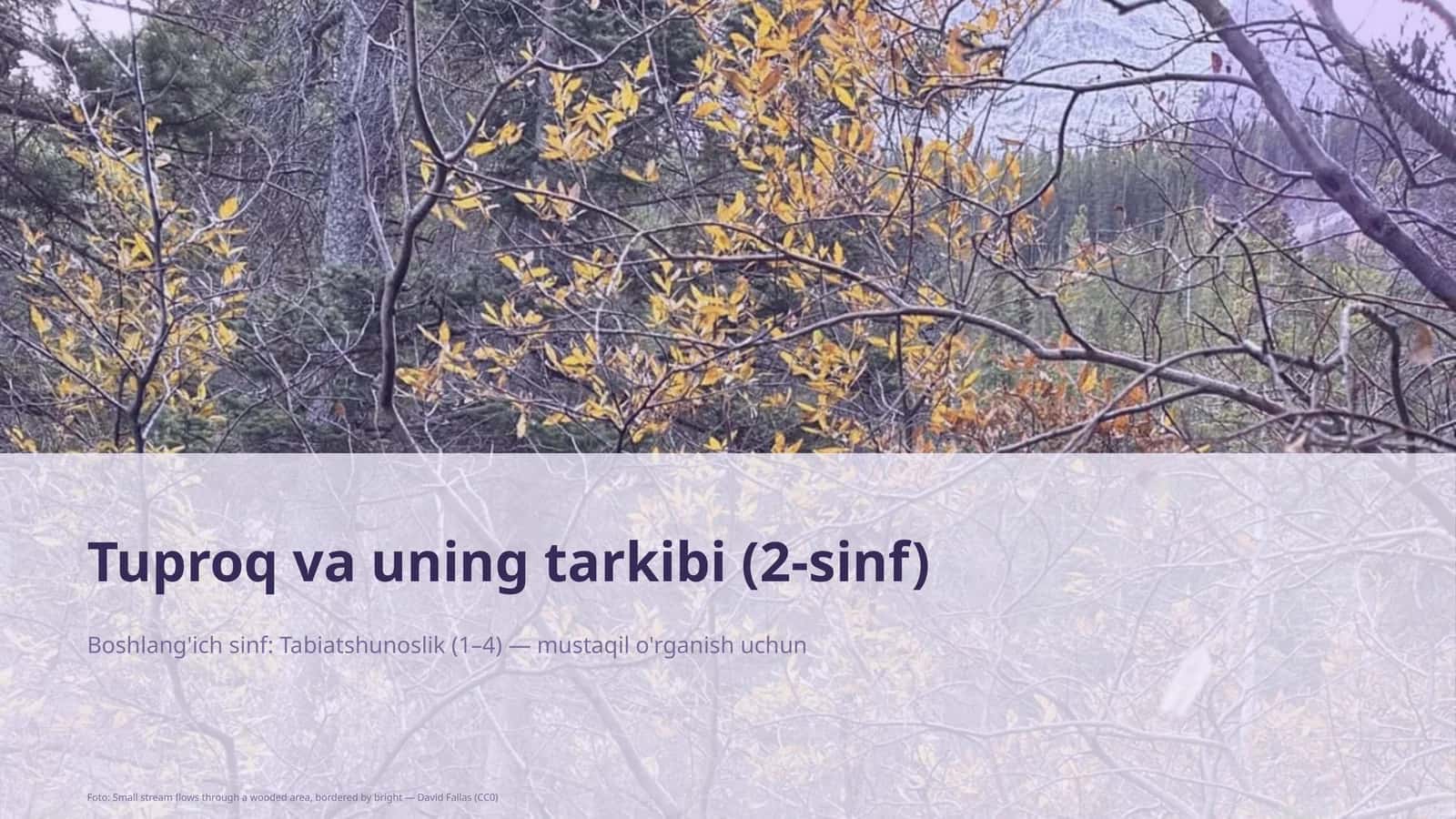 Tuproq va uning tarkibi (2-sinf) 1