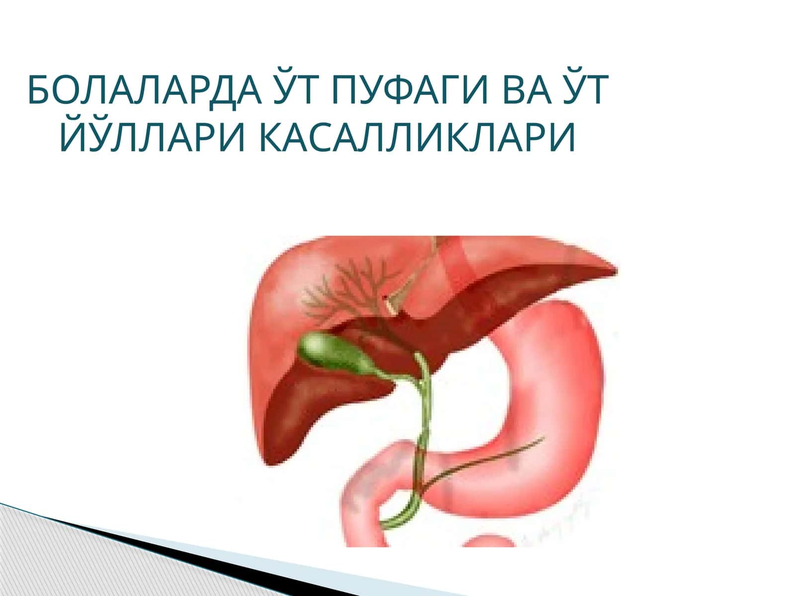 Ўт пуфаги касалликлари 1