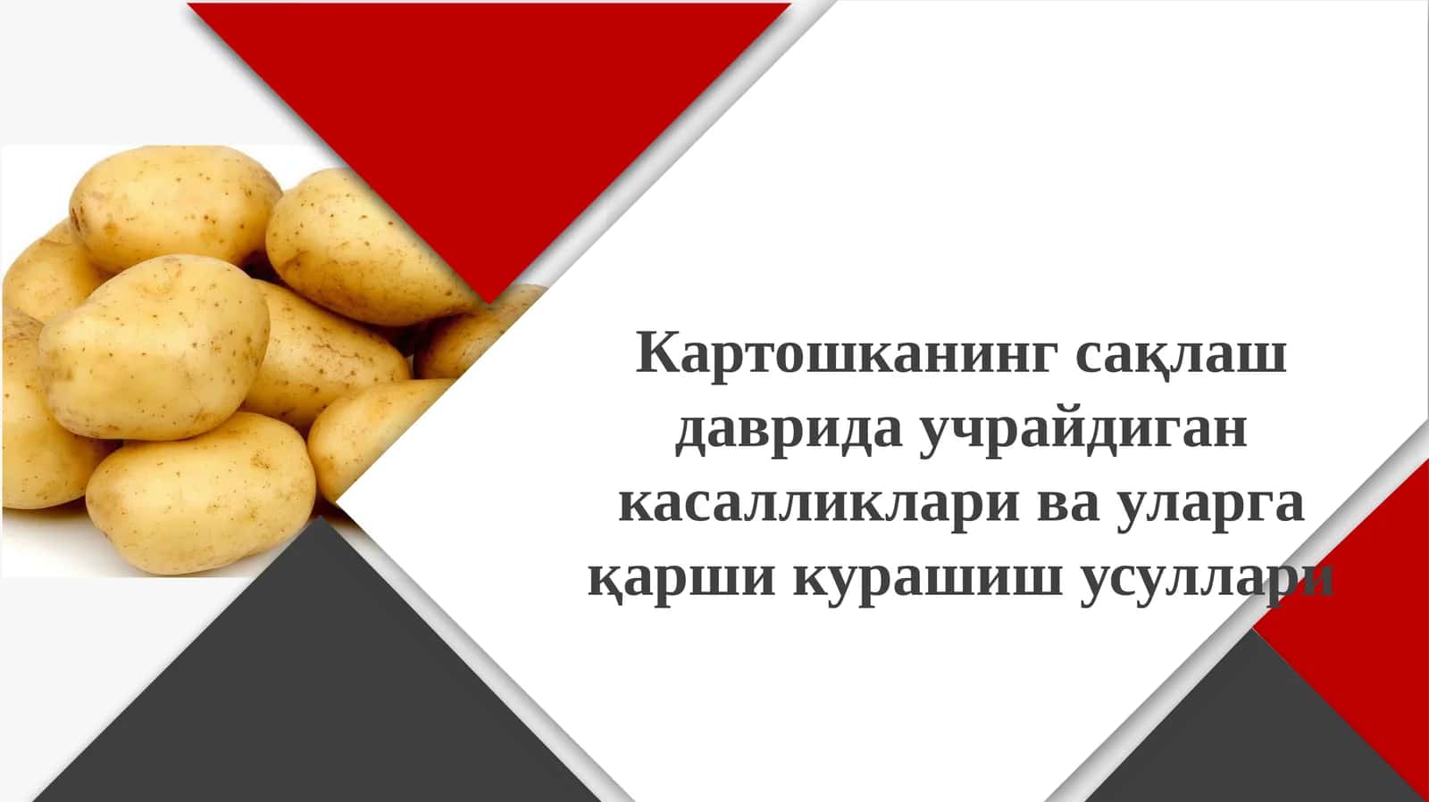 Картошка 1