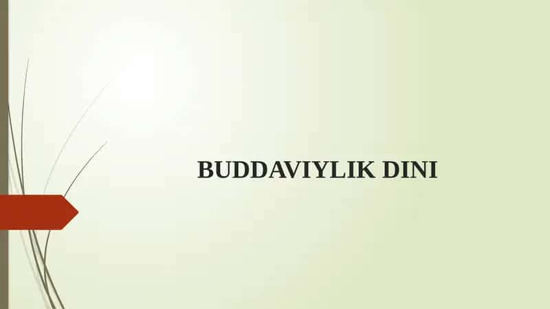 BUDDAVIYLIK DINI 1