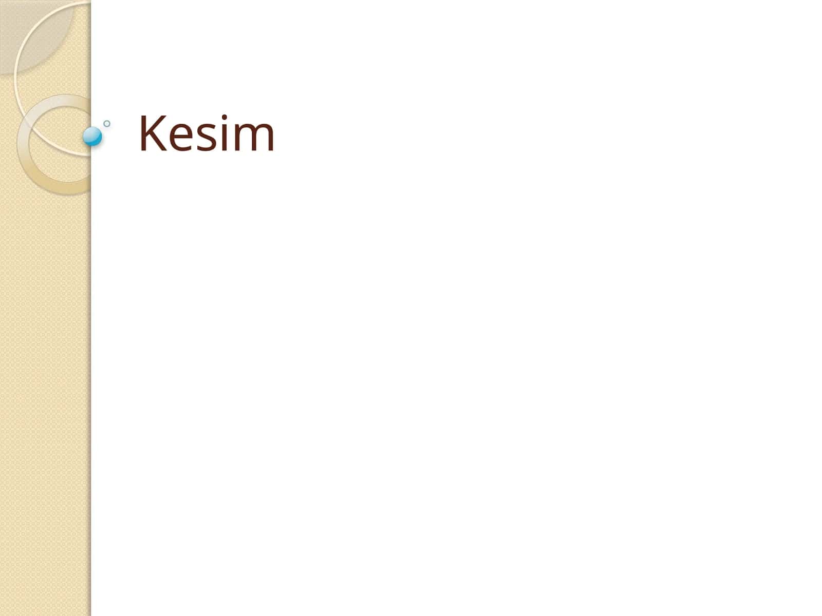 Kesim 1