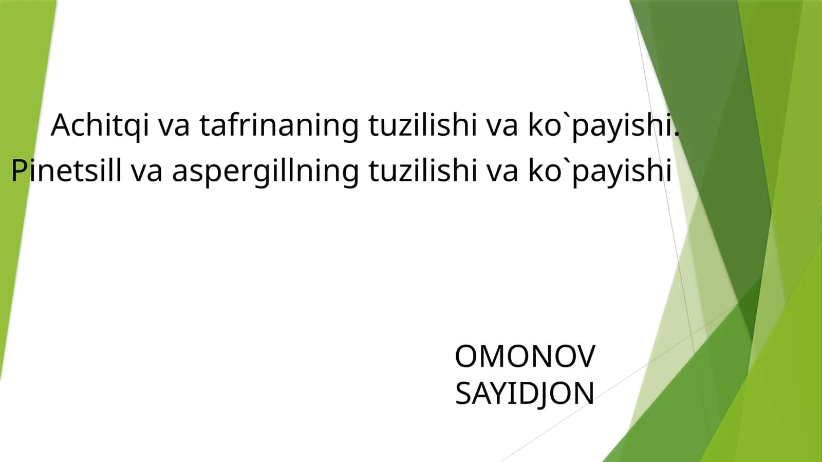 Achitqi zamburug‘i 1