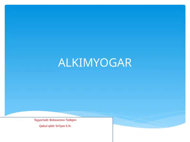ALKIMYOGAR 1