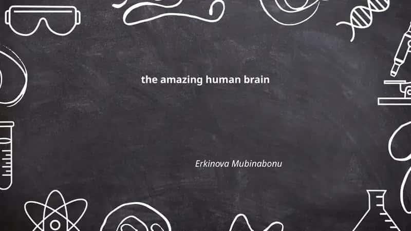 the amazing human brain 1
