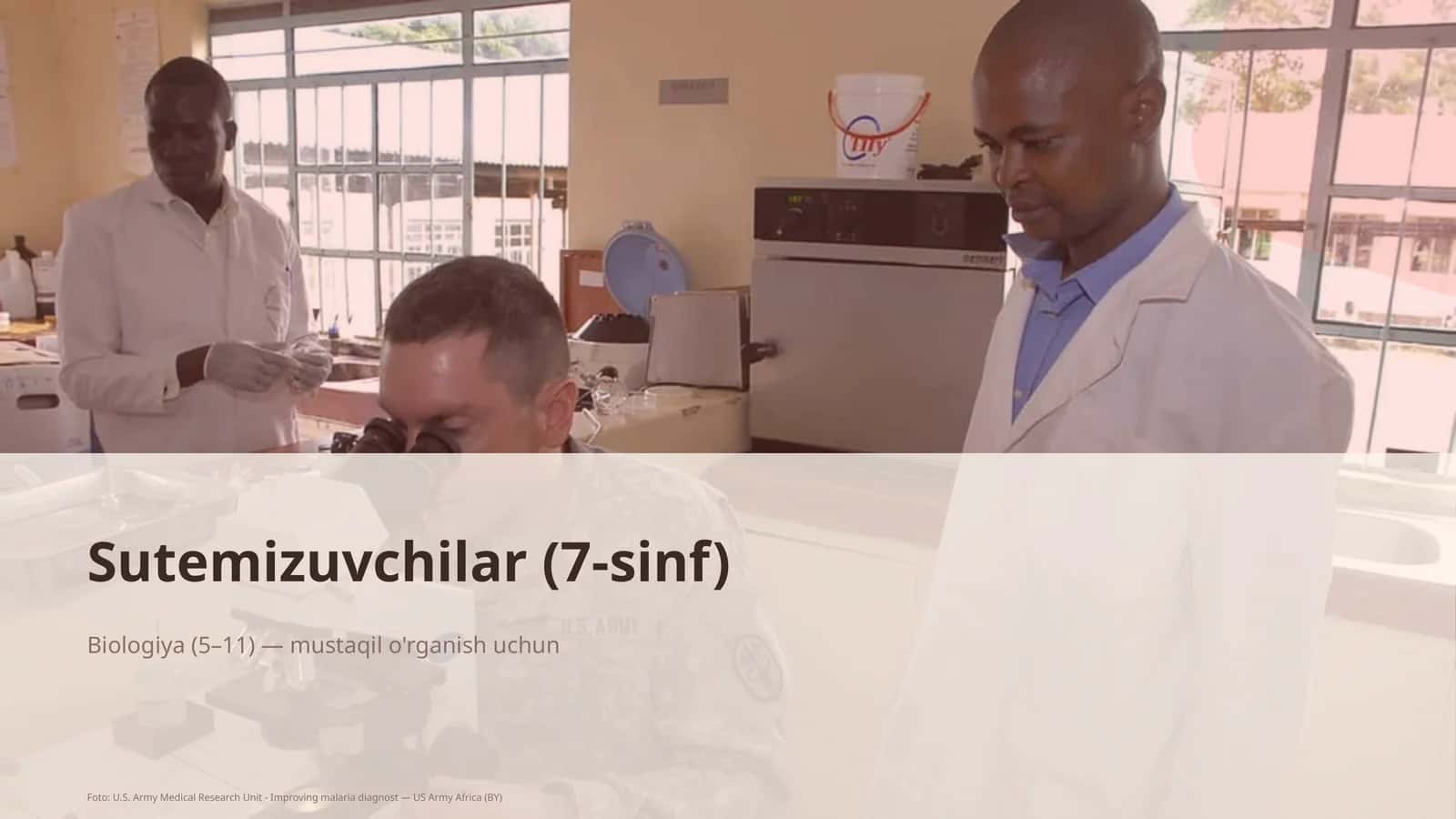 Sutemizuvchilar (7-sinf) 1
