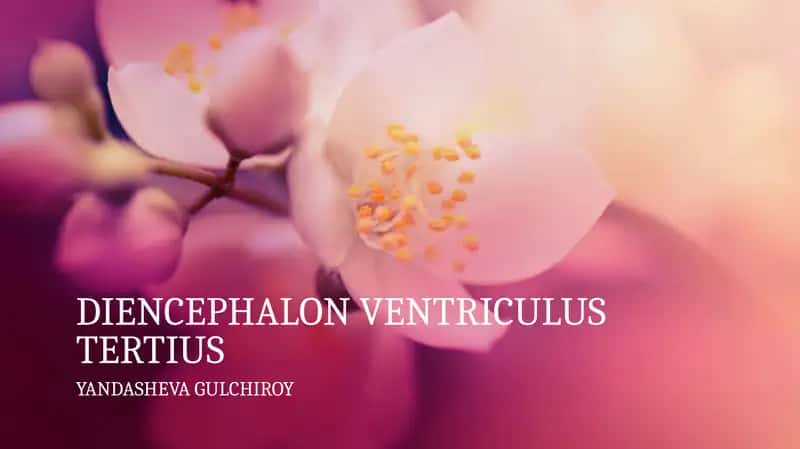 DIENCEPHALON VENTRICULUS TERTIUS 1