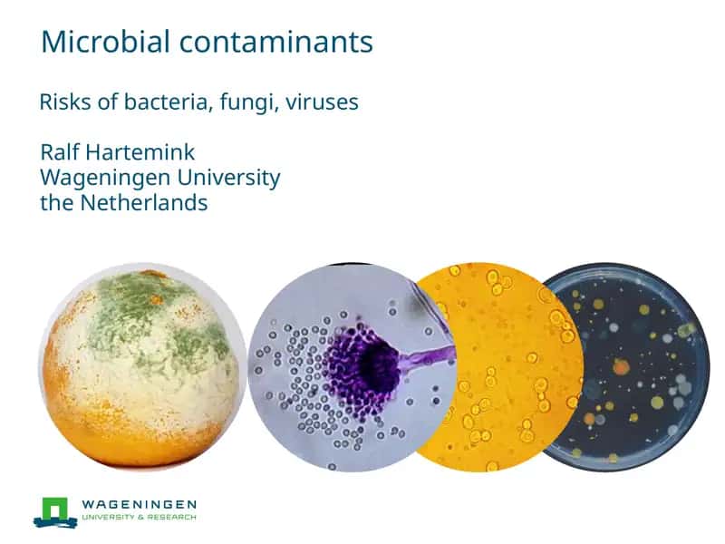 Microbial contaminants 1