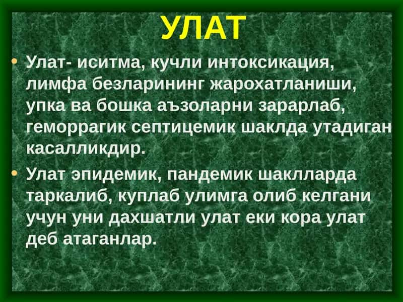 O'lat 1