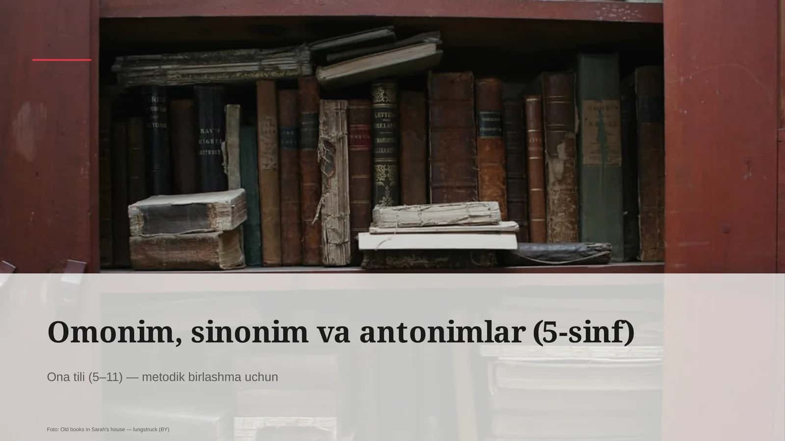 Omonim, sinonim va antonimlar (5-sinf) 1