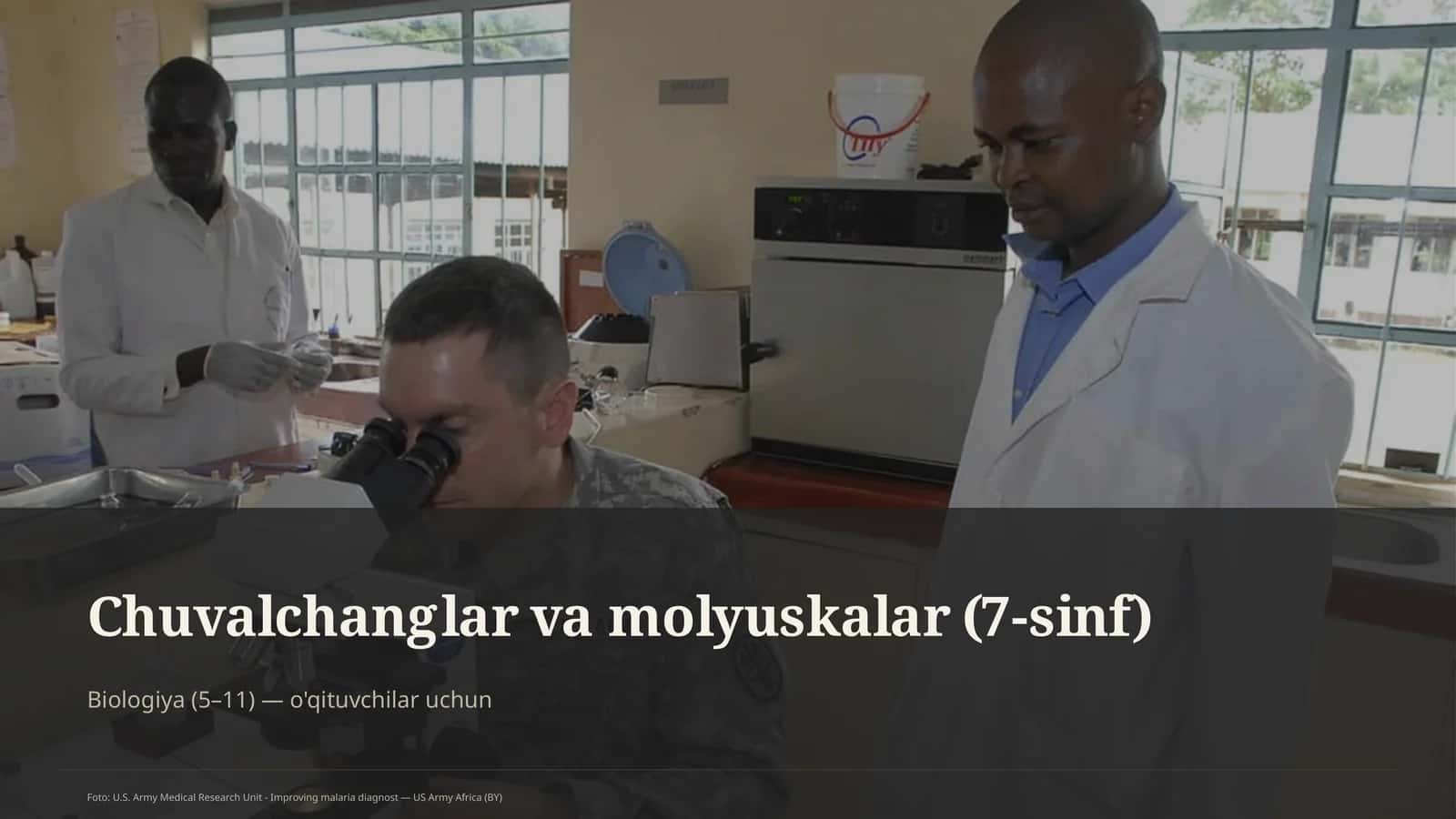 Chuvalchanglar va molyuskalar (7-sinf) 1