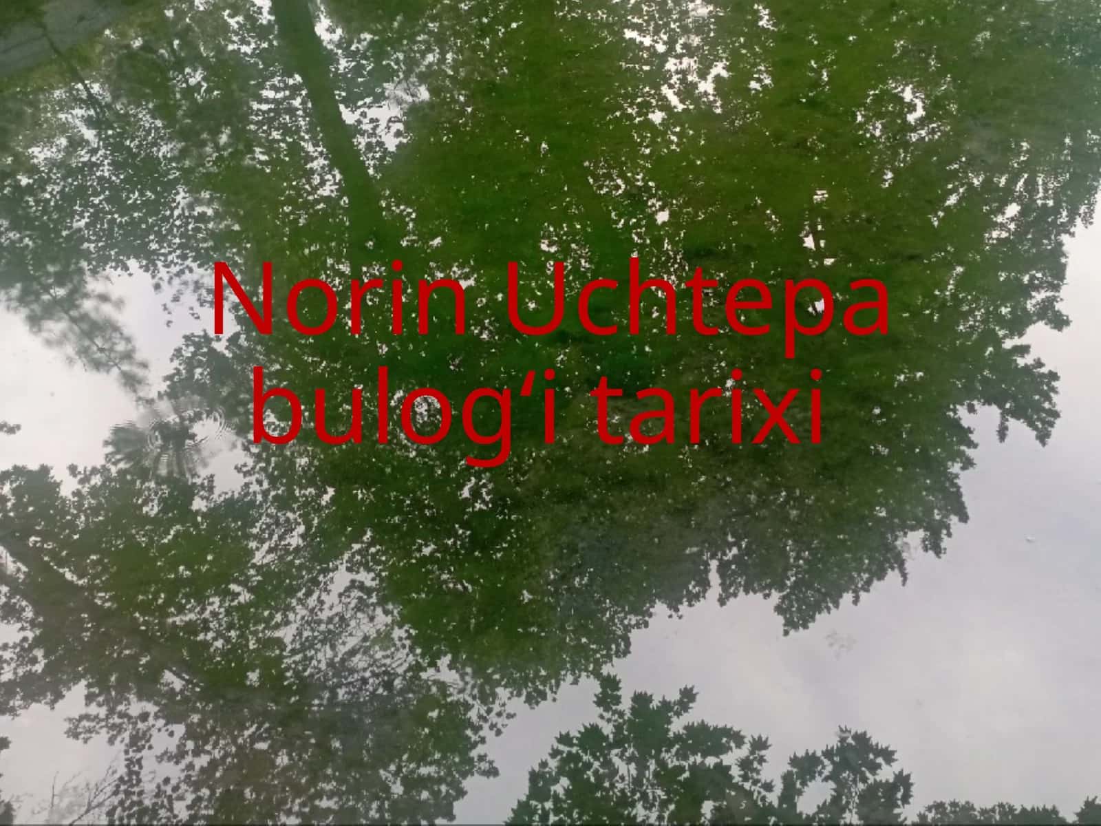 Norin Uchtepa bulogʻi tarixi 1