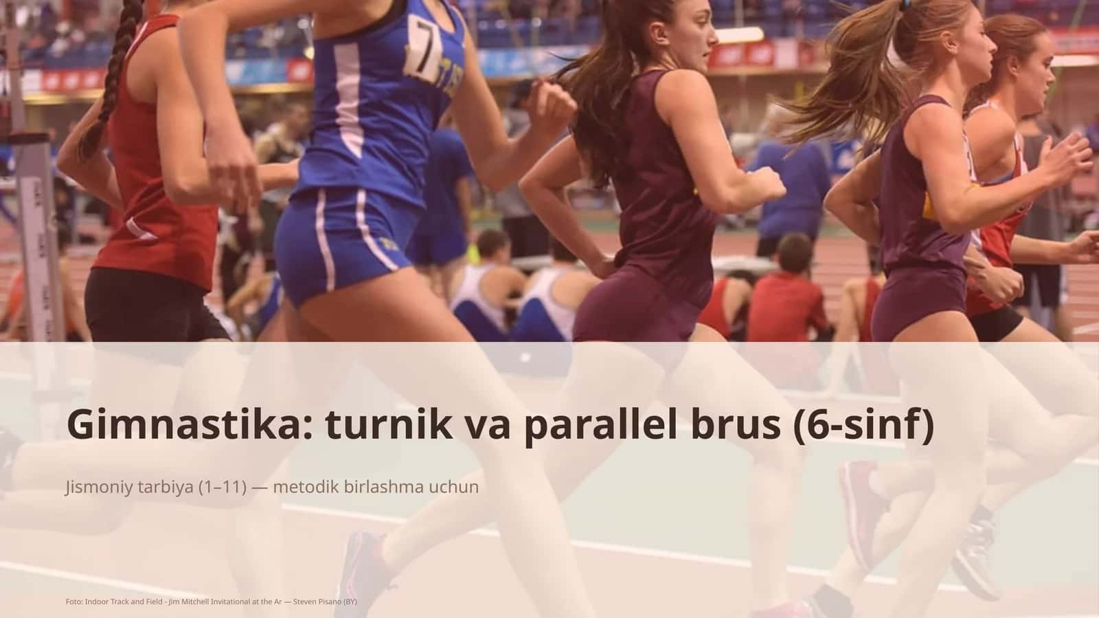 Gimnastika: turnik va parallel brus (6-sinf) 1