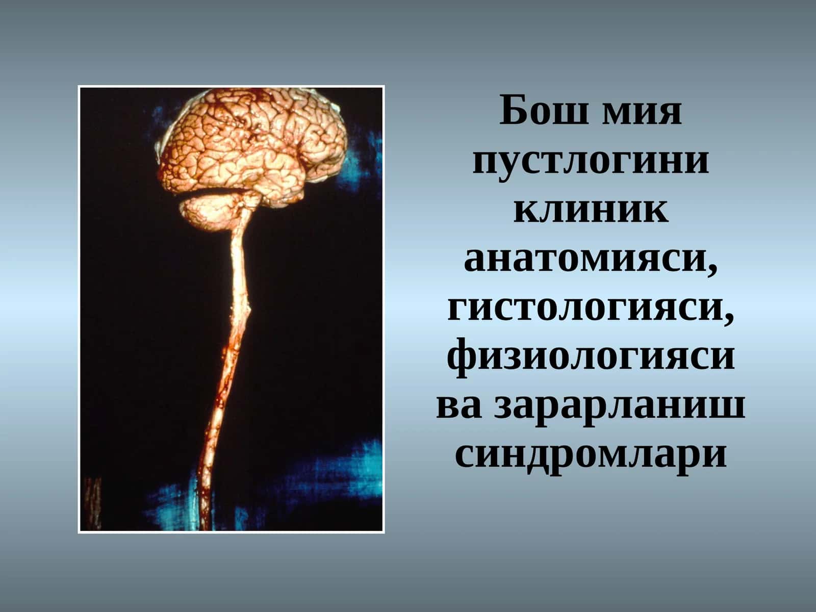 Бош мия пустлоги 1