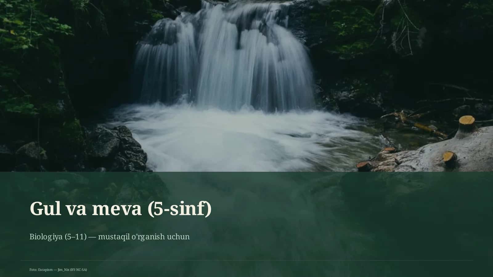 Gul va meva (5-sinf) 1