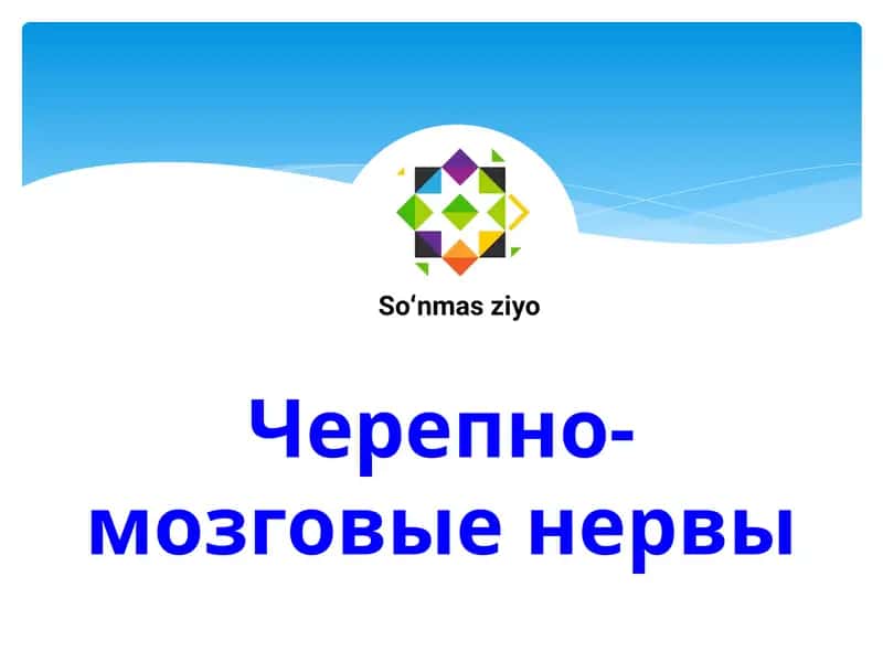 Черепно-мозговые нервы 1