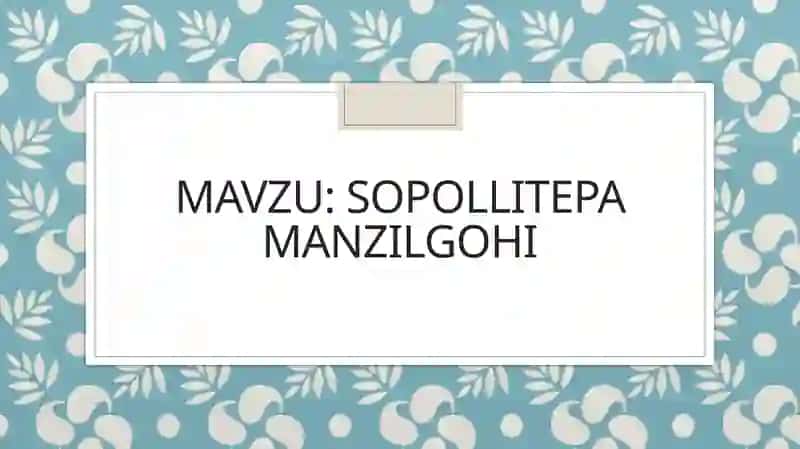 Sopollitepa manzilgohi