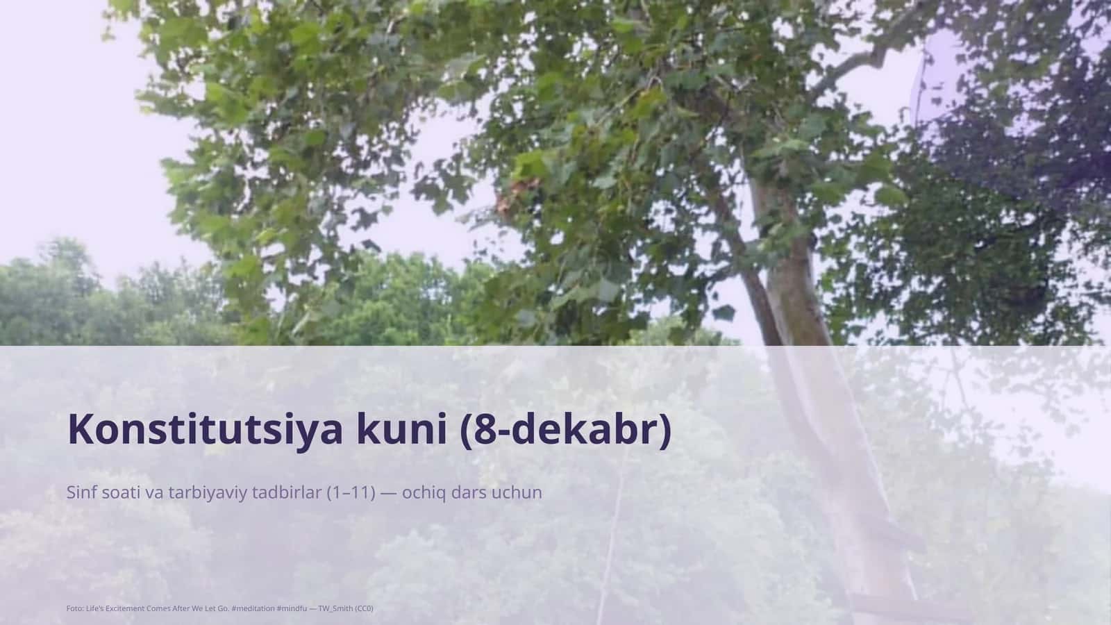 Konstitutsiya kuni (8-dekabr) 1