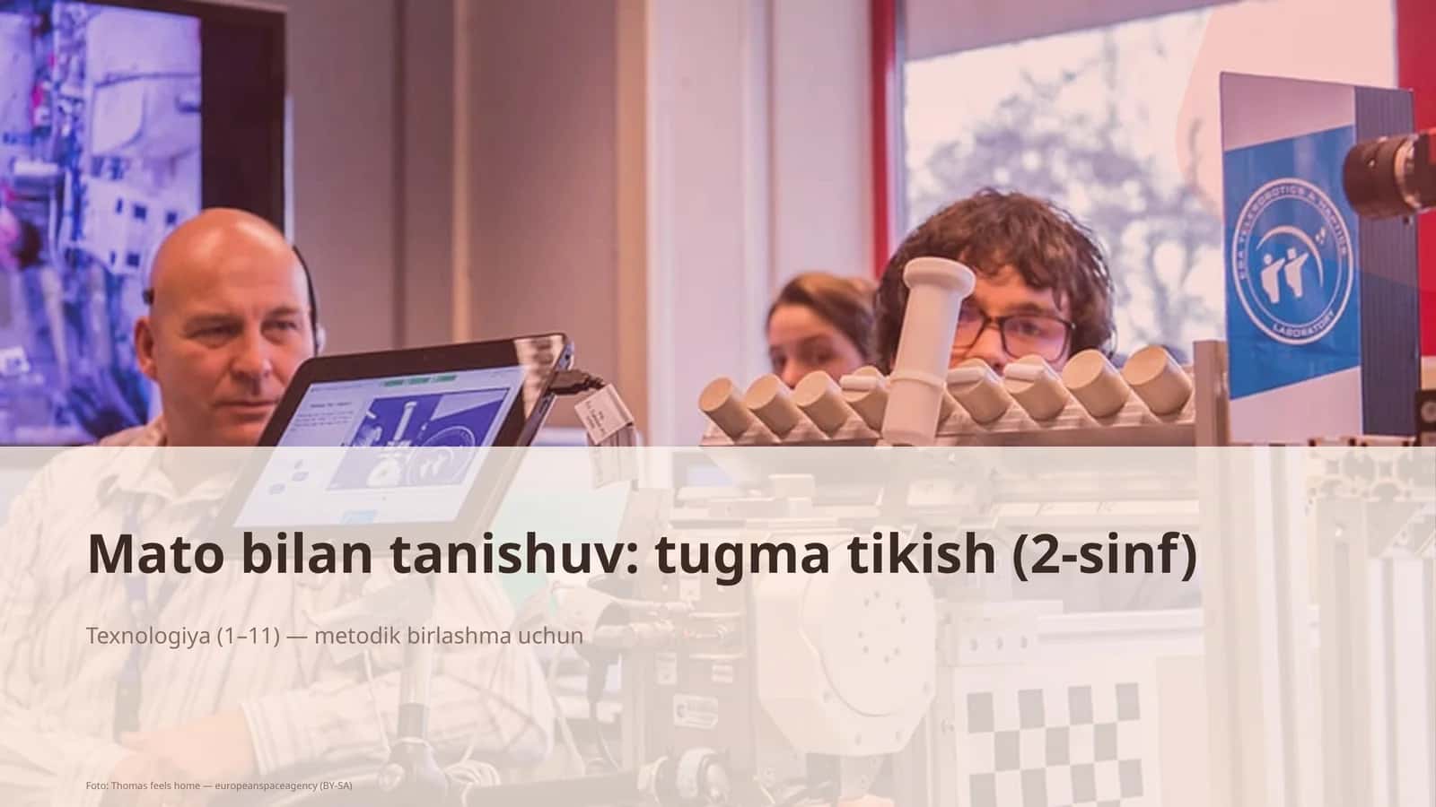 Mato bilan tanishuv: tugma tikish (2-sinf) 1