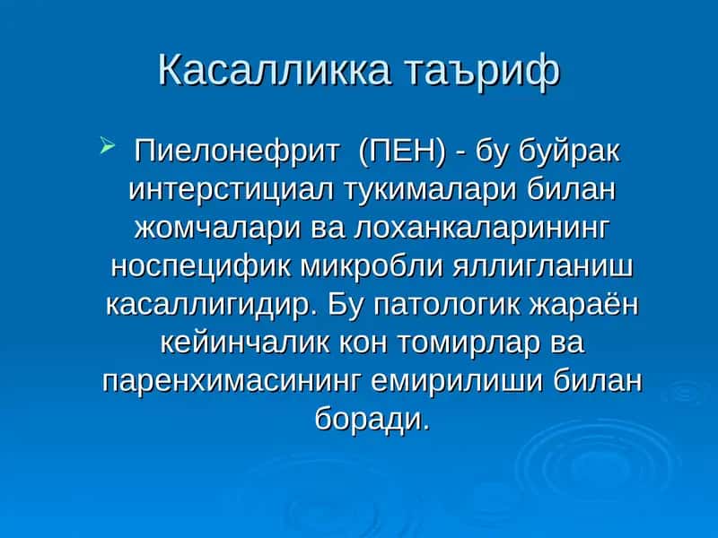 Пиелонефрит 1