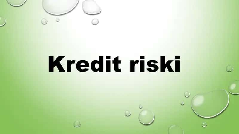 Kredit riski 1