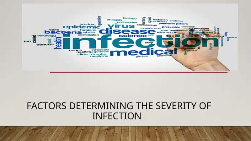 Factors determining the severity of infection 1