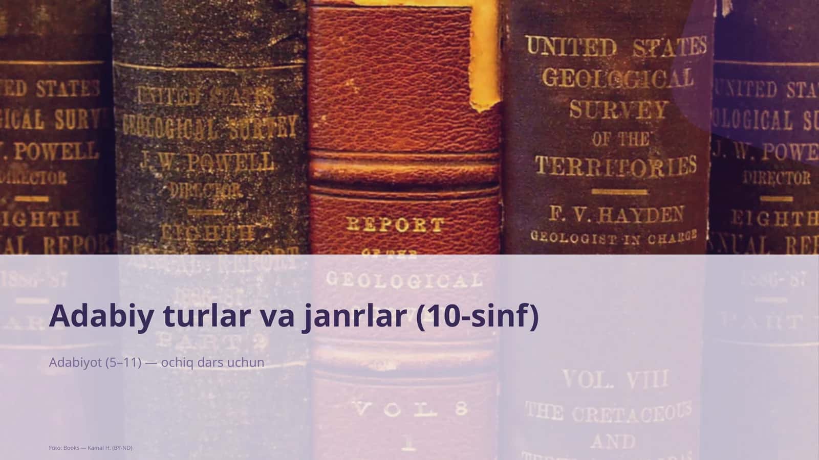 Adabiy turlar va janrlar (10-sinf) 1