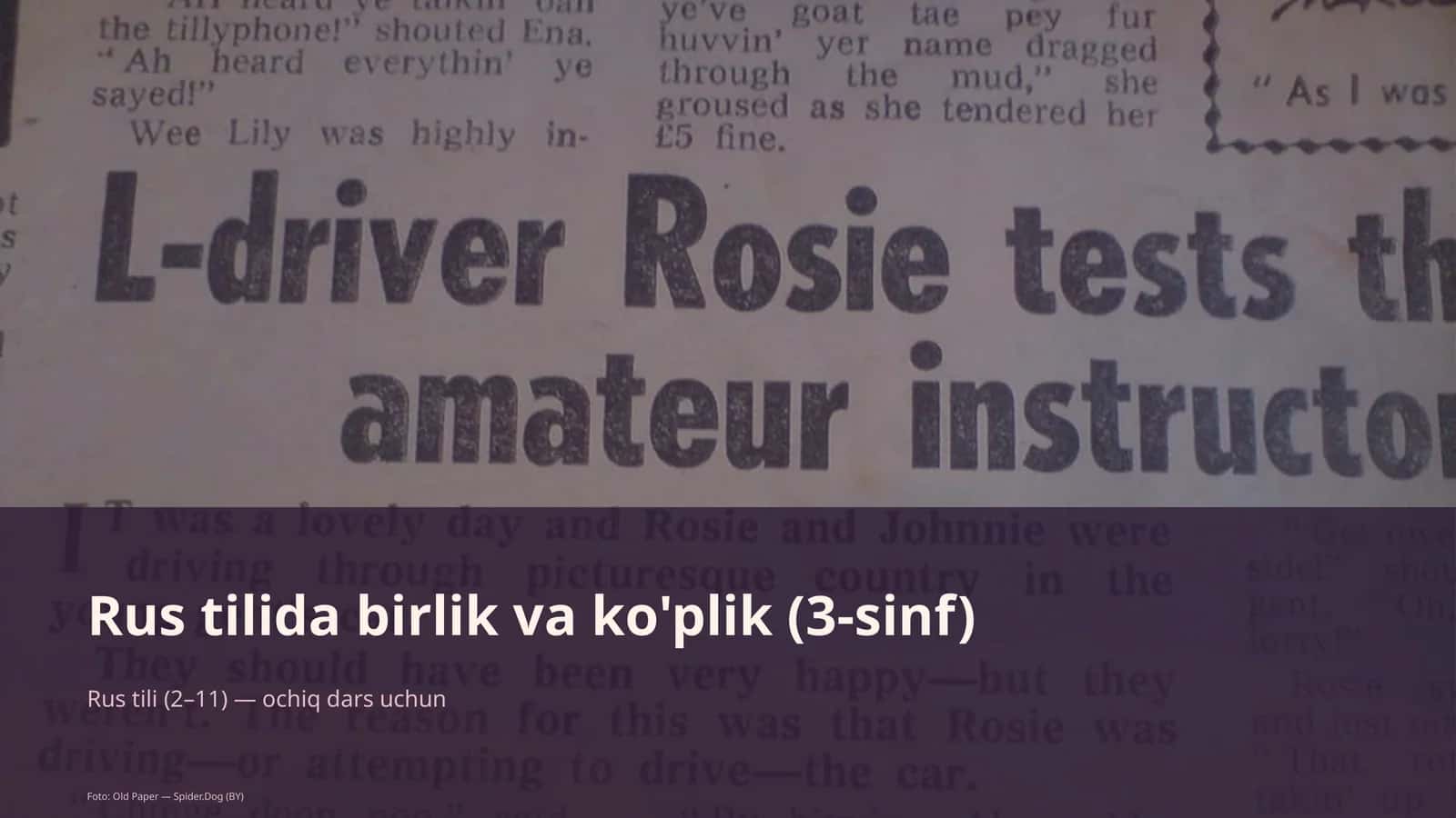 Rus tilida birlik va ko'plik (3-sinf) 1