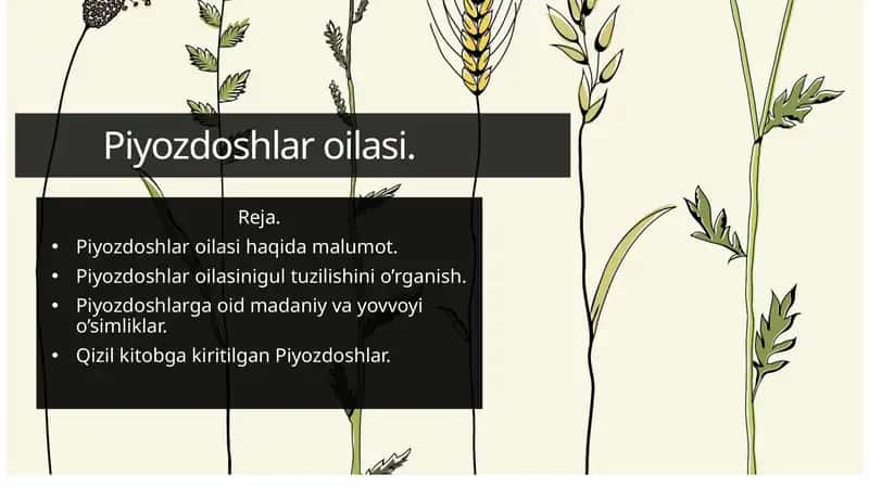 Piyozdoshlar oilasi 1