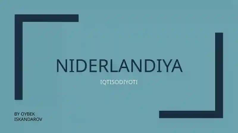 NIDERLANDIYA IQTISODIYOTI
