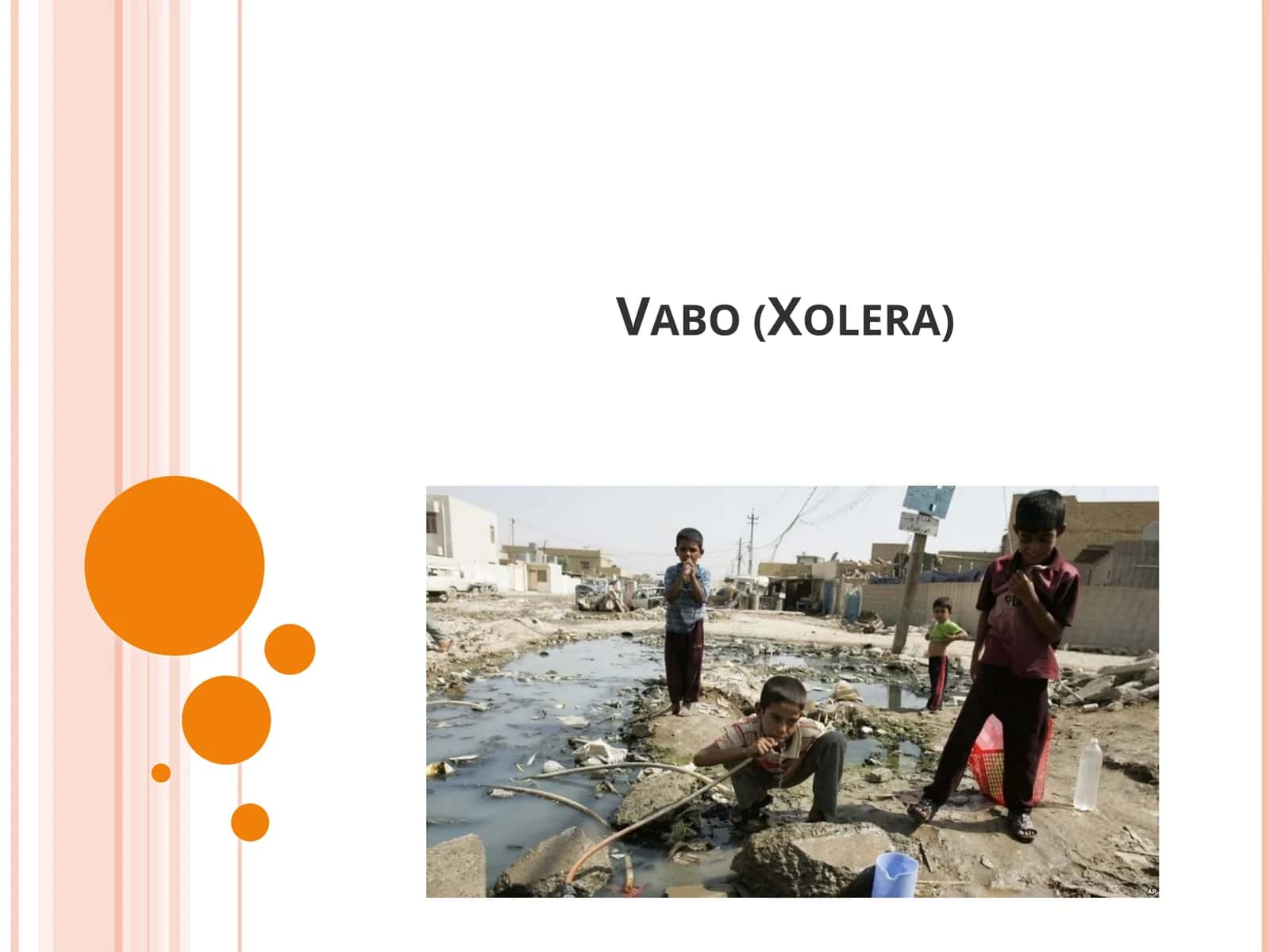 Vabo (Xolera) 1