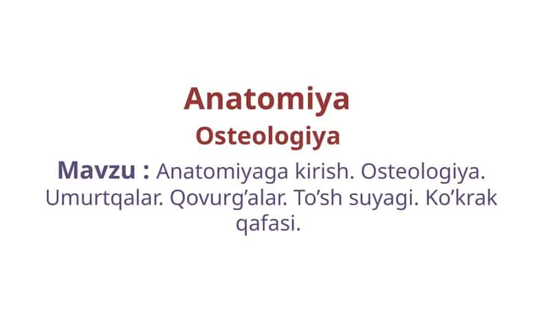 Anatomiya va Osteologiya 1