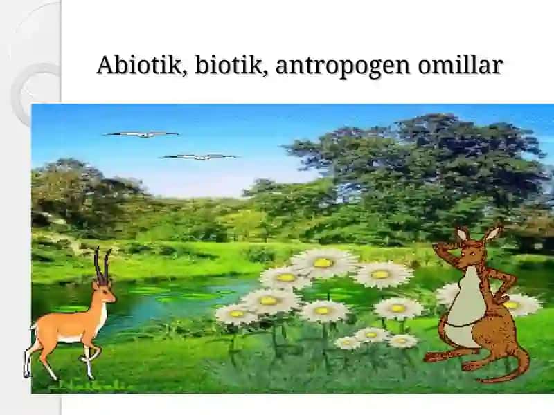 Abiotik, biotik, antropogen omillar