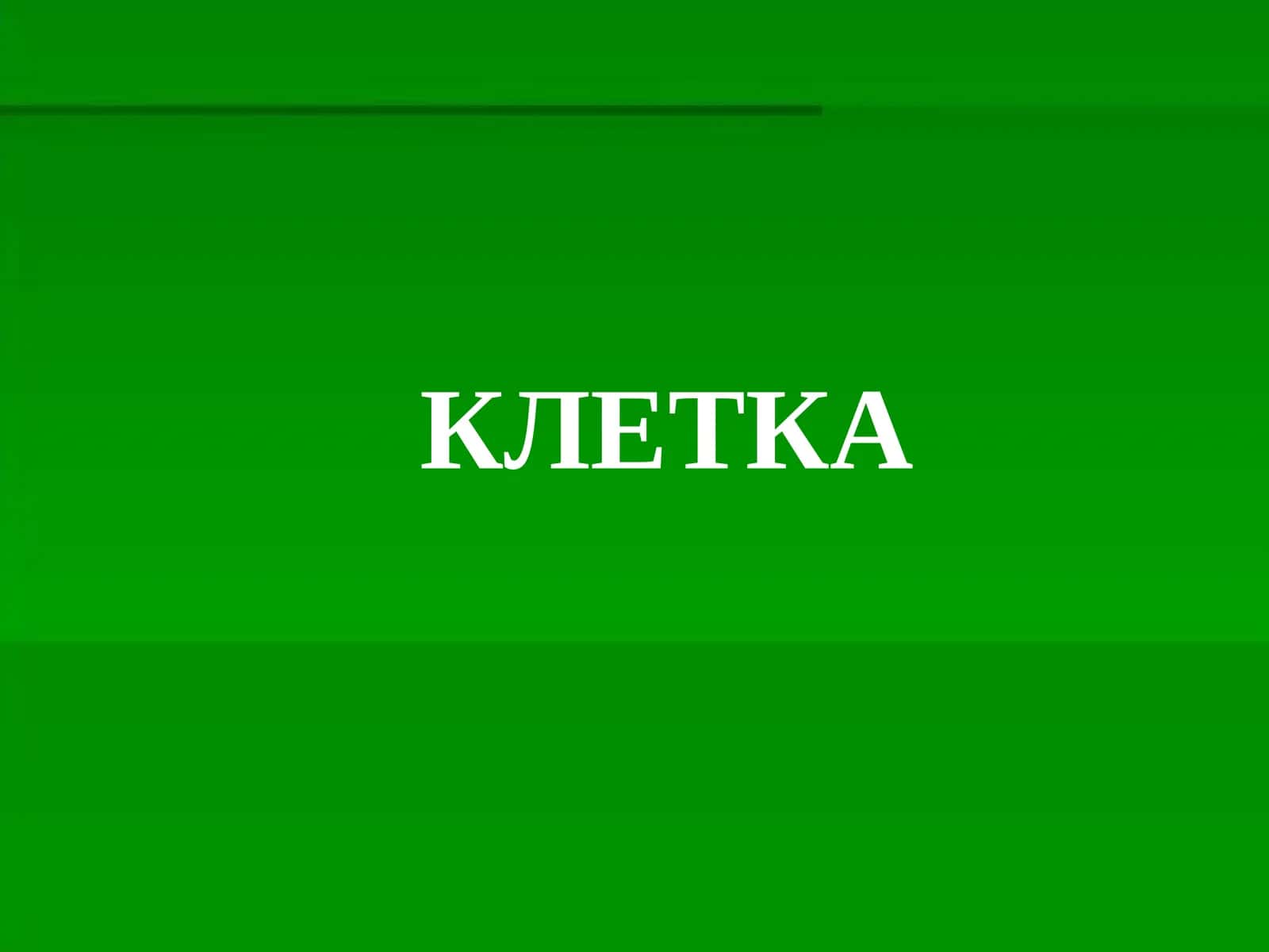 КЛЕТКА 1