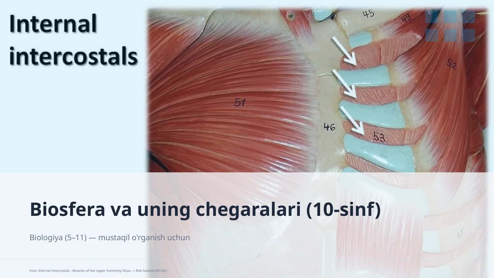 Biosfera va uning chegaralari (10-sinf) 1