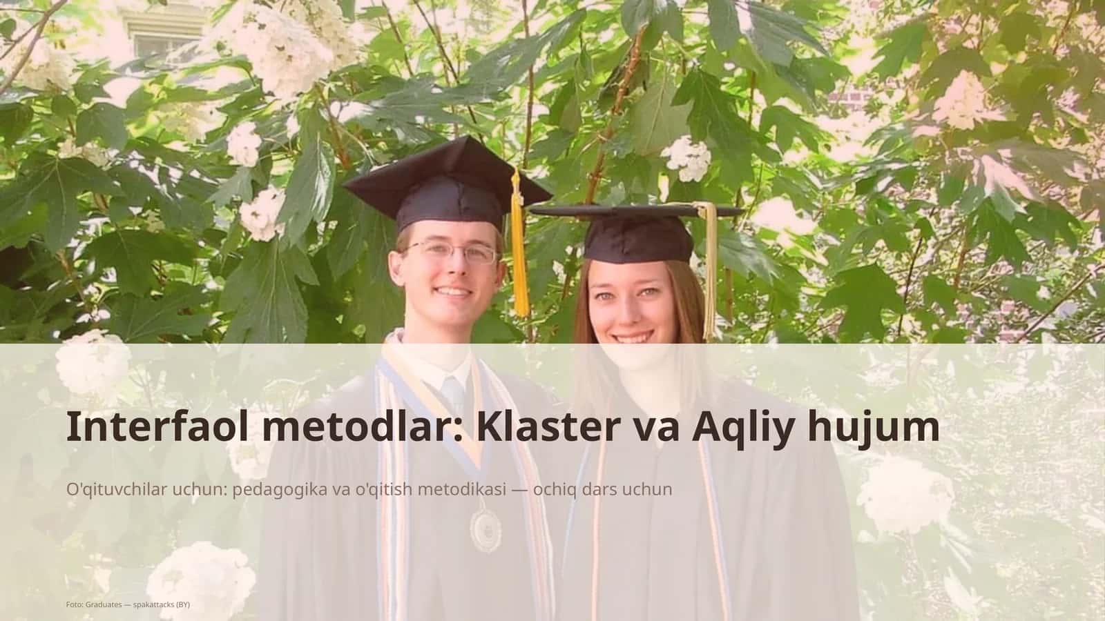 Interfaol metodlar: Klaster va Aqliy hujum 1