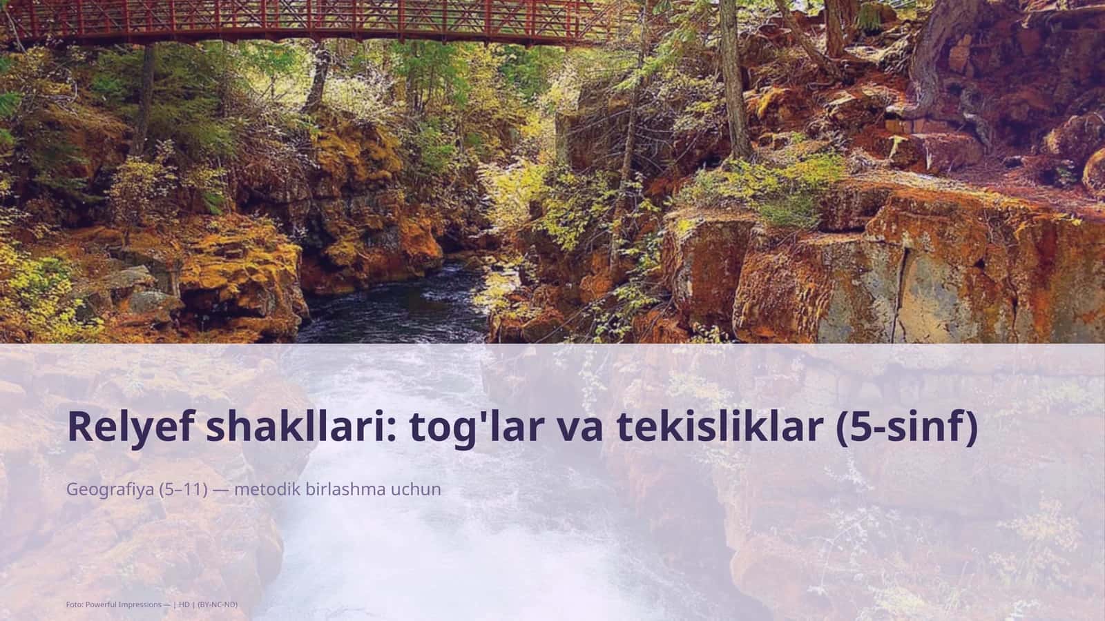 Relyef shakllari: tog'lar va tekisliklar (5-sinf) 1