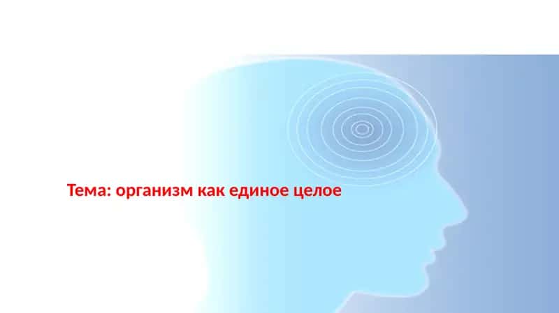организм как единое целое 1