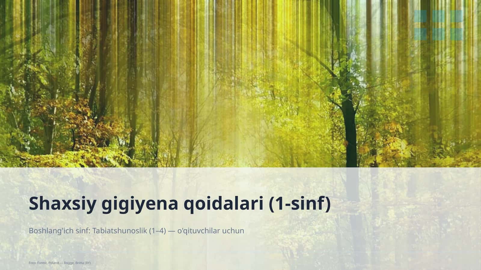 Shaxsiy gigiyena qoidalari (1-sinf) 1