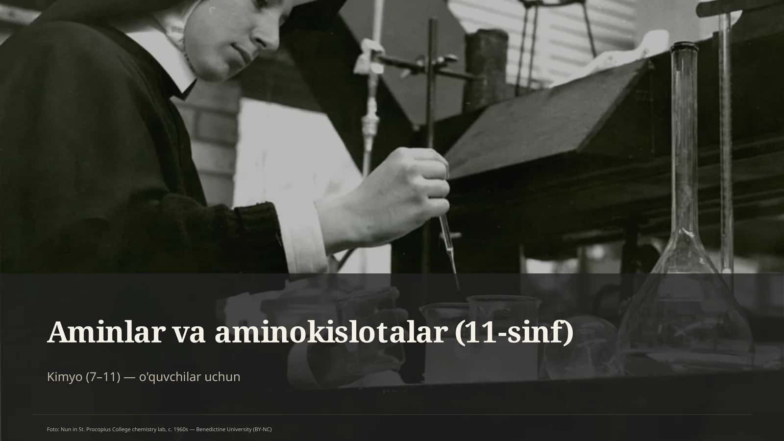 Aminlar va aminokislotalar (11-sinf) 1